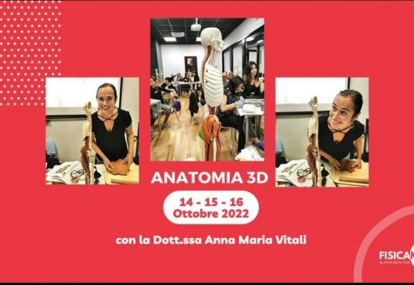 Anatomia 3D