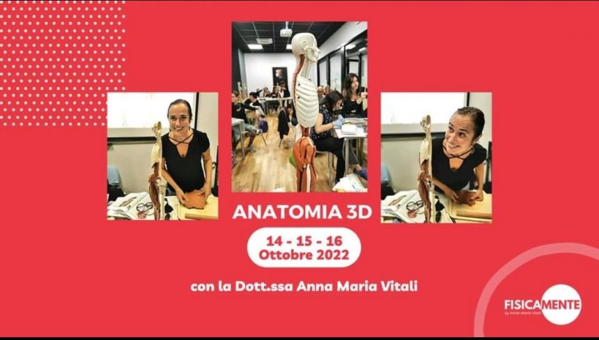 Anatomia 3D